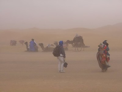Heather in sandstorm, courtesy Alexander Hopster